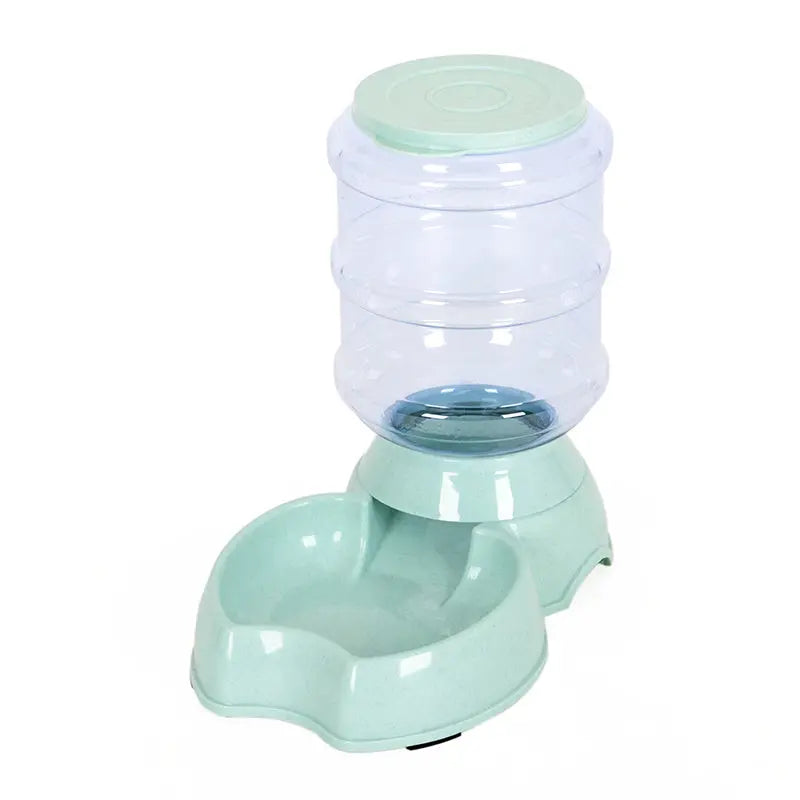 Dog bowl - My Store